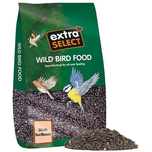 Extra Select Black Sunflower Seed