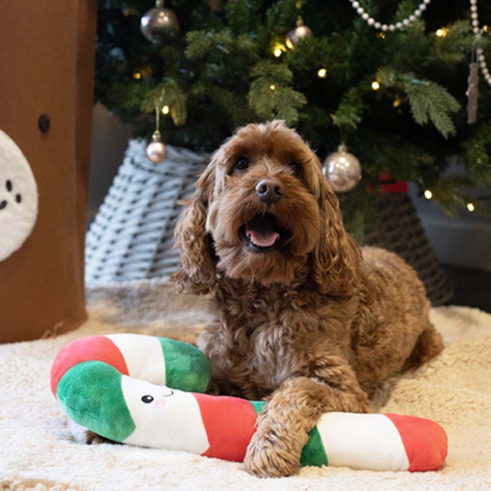 Cupid & Comet Carrie Candy Cane Rope Core Dog Toy