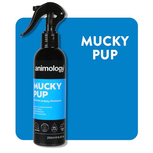 Animology Mucky Pup No Rinse Shampoo