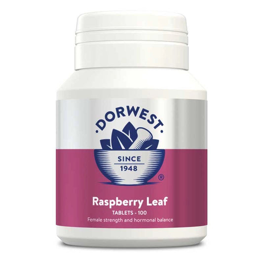 Dorwest Raspberry Leaf Tablets