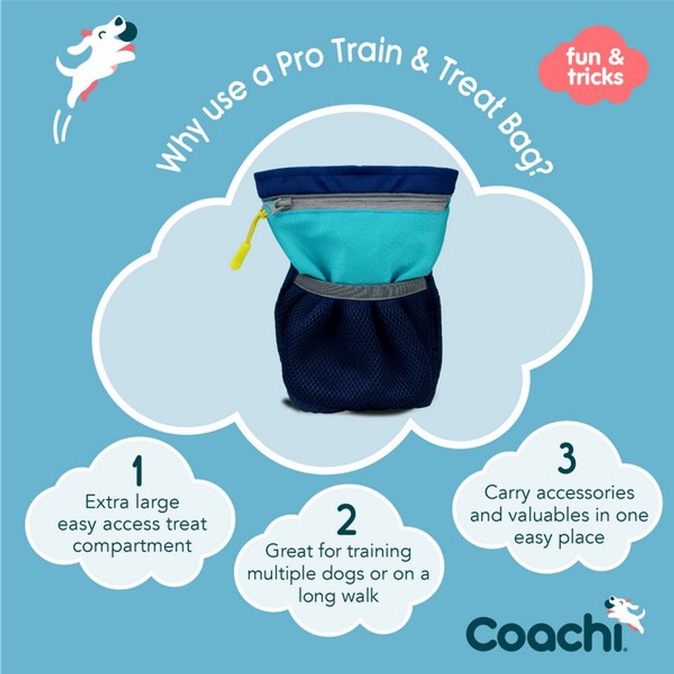 Coachi Pro Train & Treat Bag - Navy & Light Blue