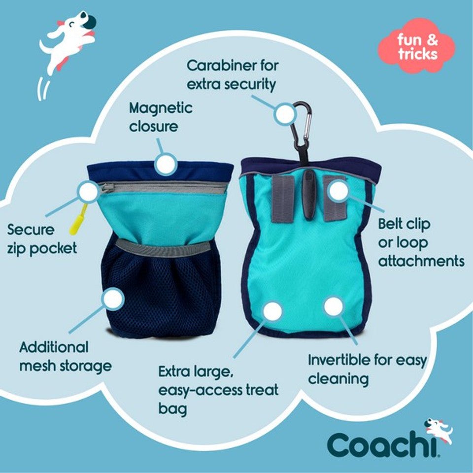 Coachi Pro Train & Treat Bag - Navy & Light Blue