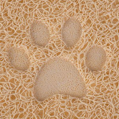 Paw Print Feeding Beige Placemat