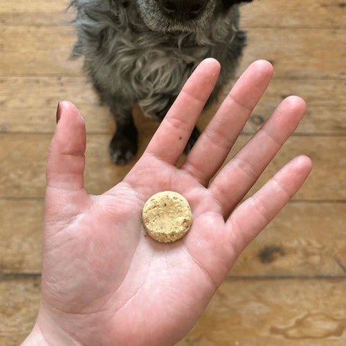 Beco Free Range Duck Liver with Sage & Carrot Dog Treats