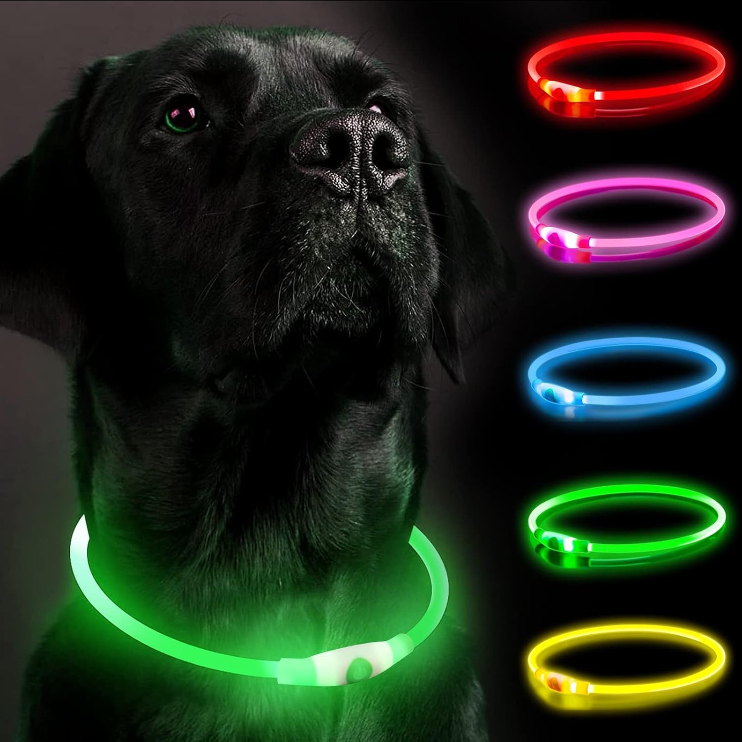 Halo Light Up Dog Collars