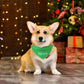 Naughty or Nice Reversible Bandana For Dogs