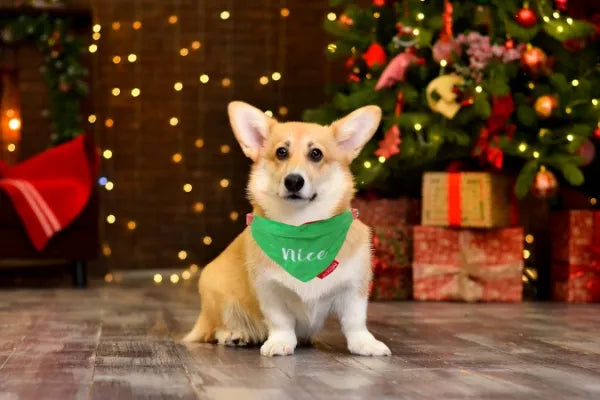 Naughty or Nice Reversible Bandana For Dogs