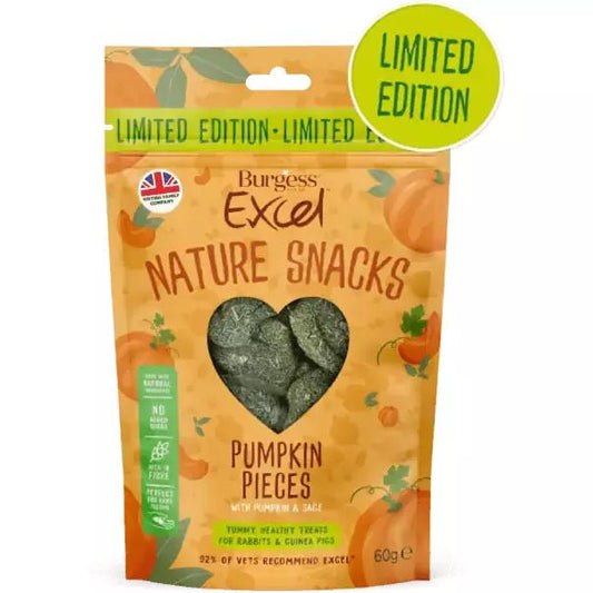 Excel Pumpkin Pieces Small Animal Treat