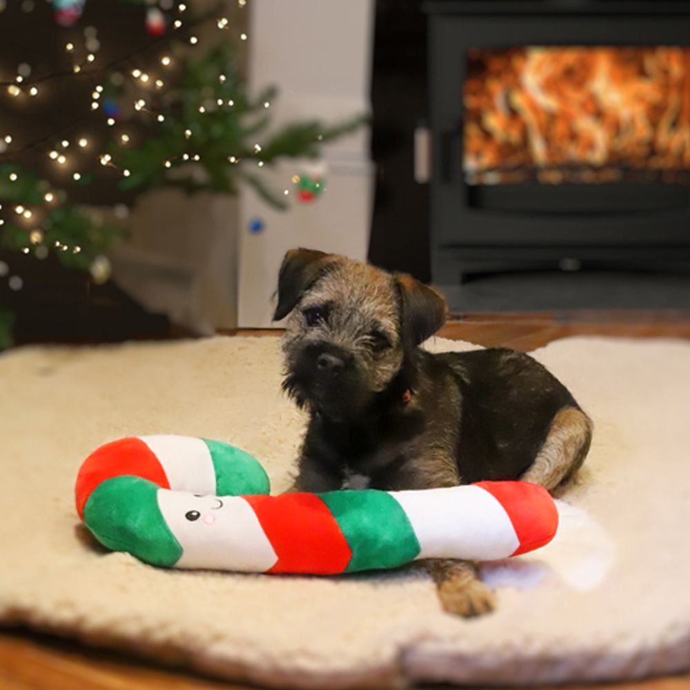 Cupid & Comet Carrie Candy Cane Rope Core Dog Toy