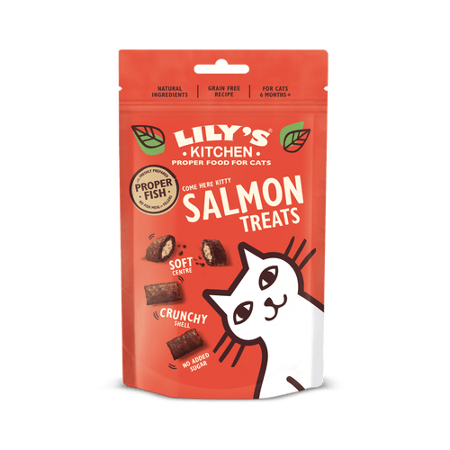 Lily's Kitchen Cat Pillow Treat Salmon