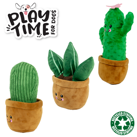 Ancol Cuddly Cactus Dog Toy