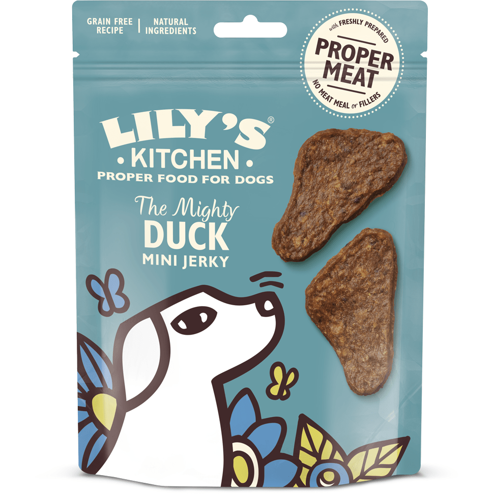 Lily's Kitchen The Might Duck Mini Jerky