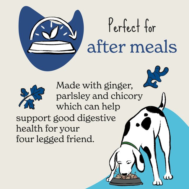 Forthglade Digestive Healthsoft Bites with Parsley, Ginger & Chicory Dog Treats 90g