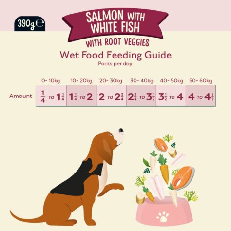 Naturediet Feel Good Grain Free Salmon Wet Dog Food