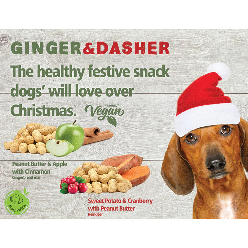 Vegetarian Dog Treats - 'Ginger & Dasher' Xmas treats