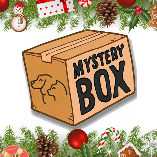 Mystery Christmas Gift Box - Cat Edition