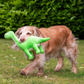 Ancol Cuddle Roarsome Dino's Dog Toy