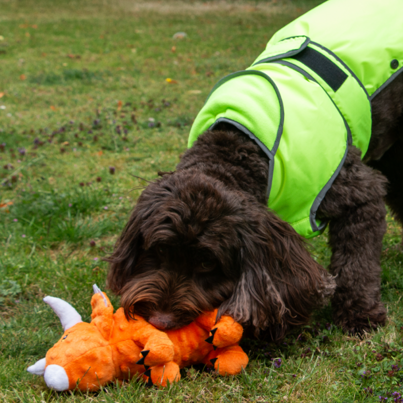 Ancol Cuddle Roarsome Dino's Dog Toy