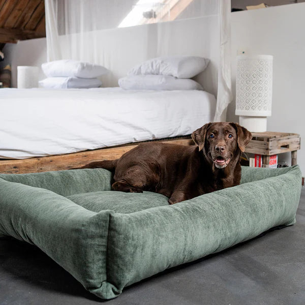 Fantail Mellow Snug Emerald Green Dog Bed