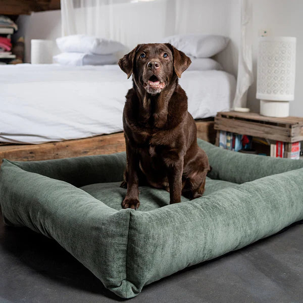 Fantail Mellow Snug Emerald Green Dog Bed