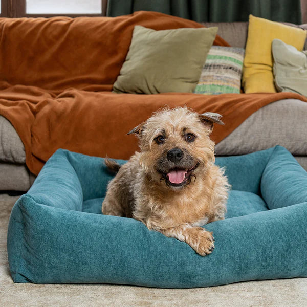 Fantail Mellow Snug Peacock Blue Dog Bed