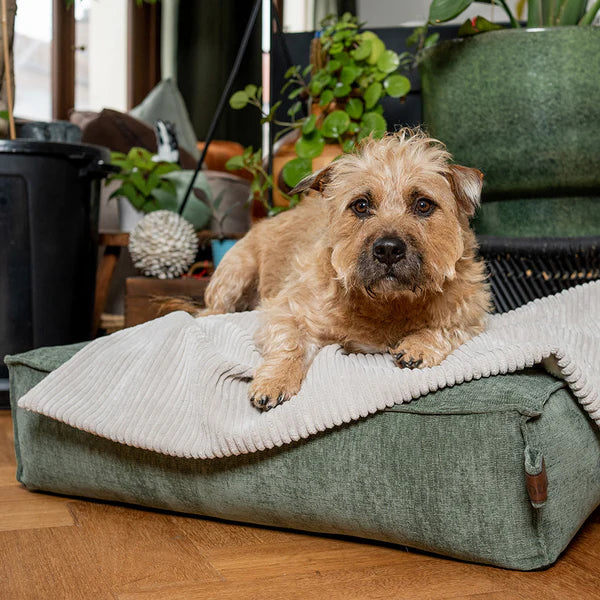 Fantail Mellow Mattresss Emerald Green Dog Bed