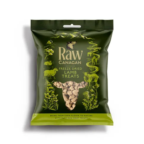 Front View of Canagan Raw Freeze Dried Lamb Dog Treats - Bright Green Packet