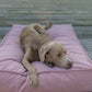 Fantail Origin Mattress Iconic Pink Dog Bed