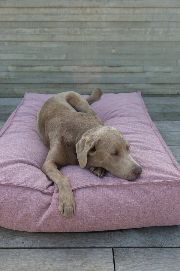 Fantail Origin Mattress Iconic Pink Dog Bed