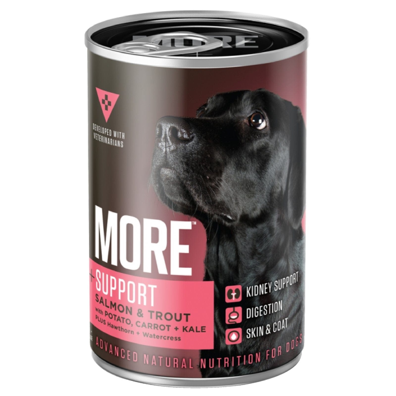 More Support Organ Rich Salmon & Trout Wet Dog Food