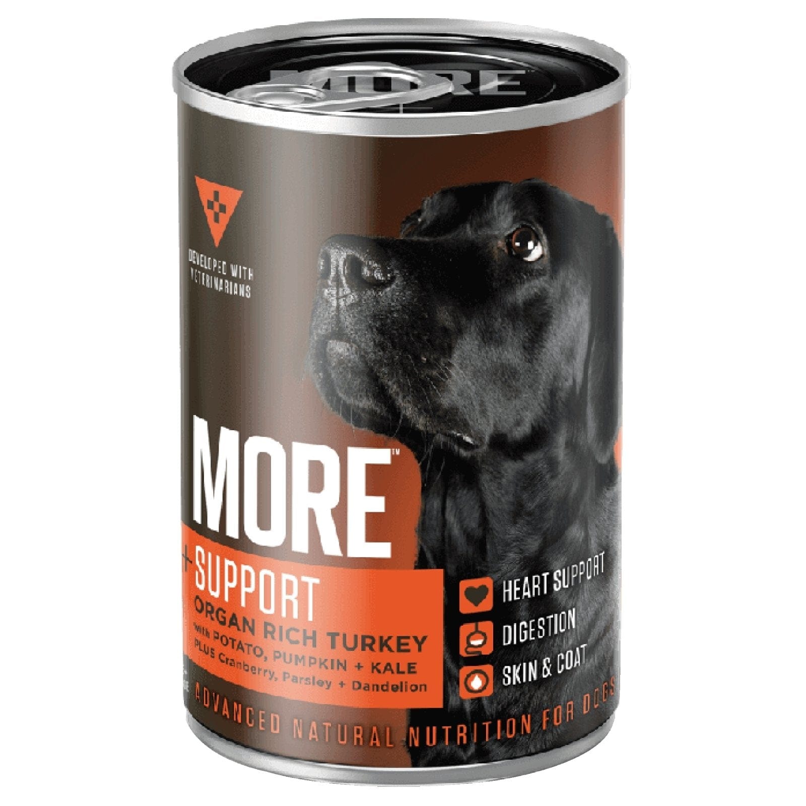 More Support Organ Rich Turkey Wet Dog Food