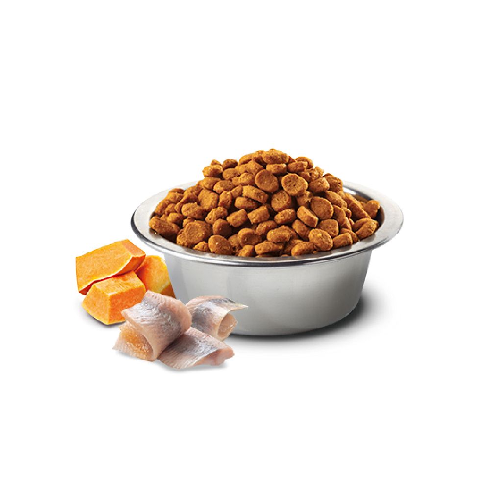 N&D Pumpkin Venison & Apple Dry Cat Food