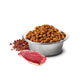 N&D Quinoa Urinary Duck & Cranberry Dry Cat Food