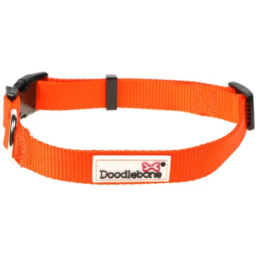 Doodlebone Originals Collar - Tangerine