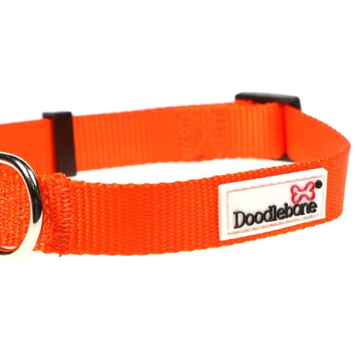 Doodlebone Originals Collar - Tangerine