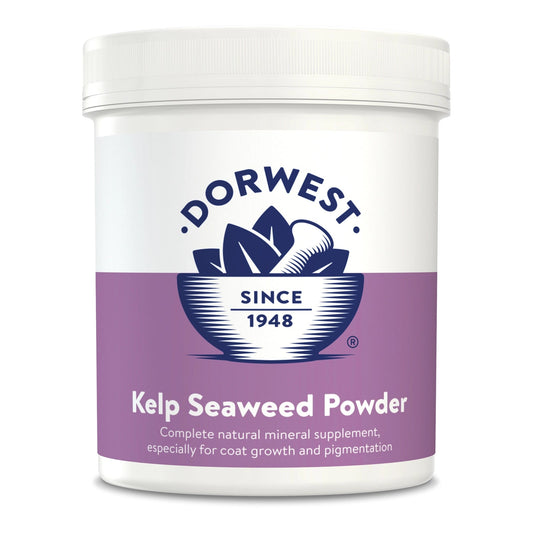 Dorwest Kelp Seaweed Powder