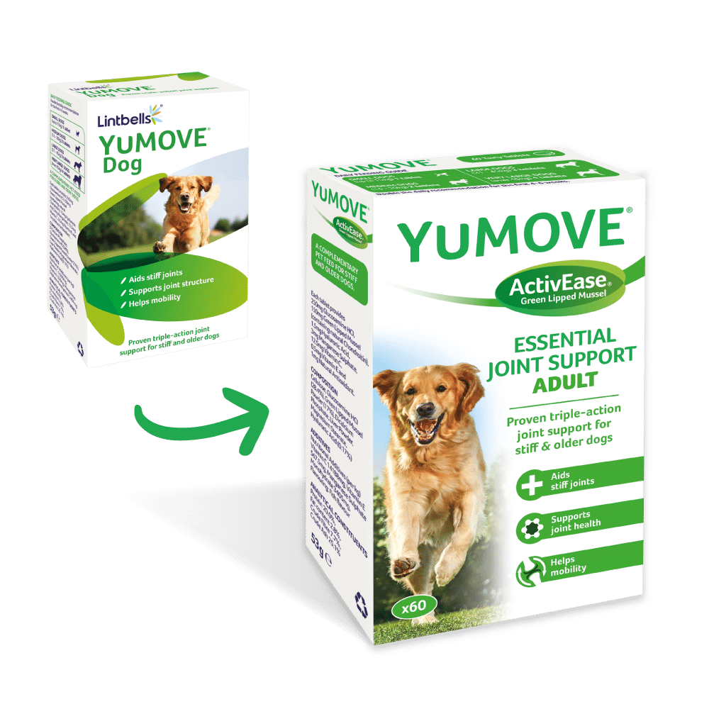 Yumove Joint Care For Adult Dogs