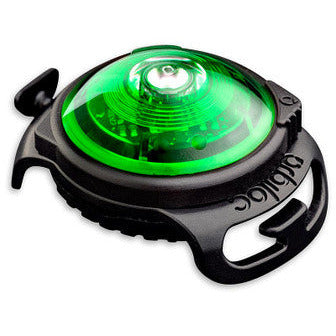 Orbiloc Safety Light For Dogs