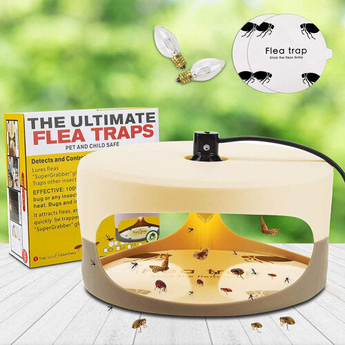 The Ultimate Flea Trap Kit